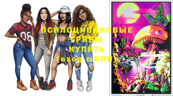 соль ск Алексеевка