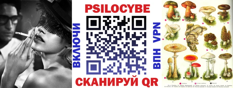 Галлюциногенные грибы Psilocybe  сколько стоит  Усть-Лабинск 